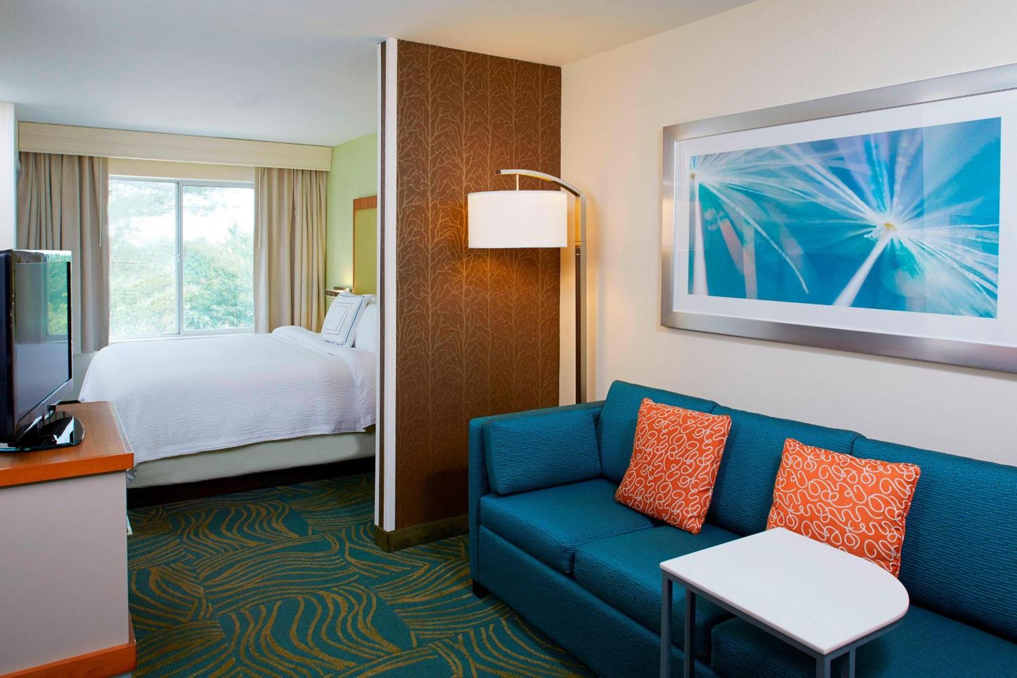 Springhill Suites By Marriott Atlanta Six Flags Lithia Springs Exterior photo