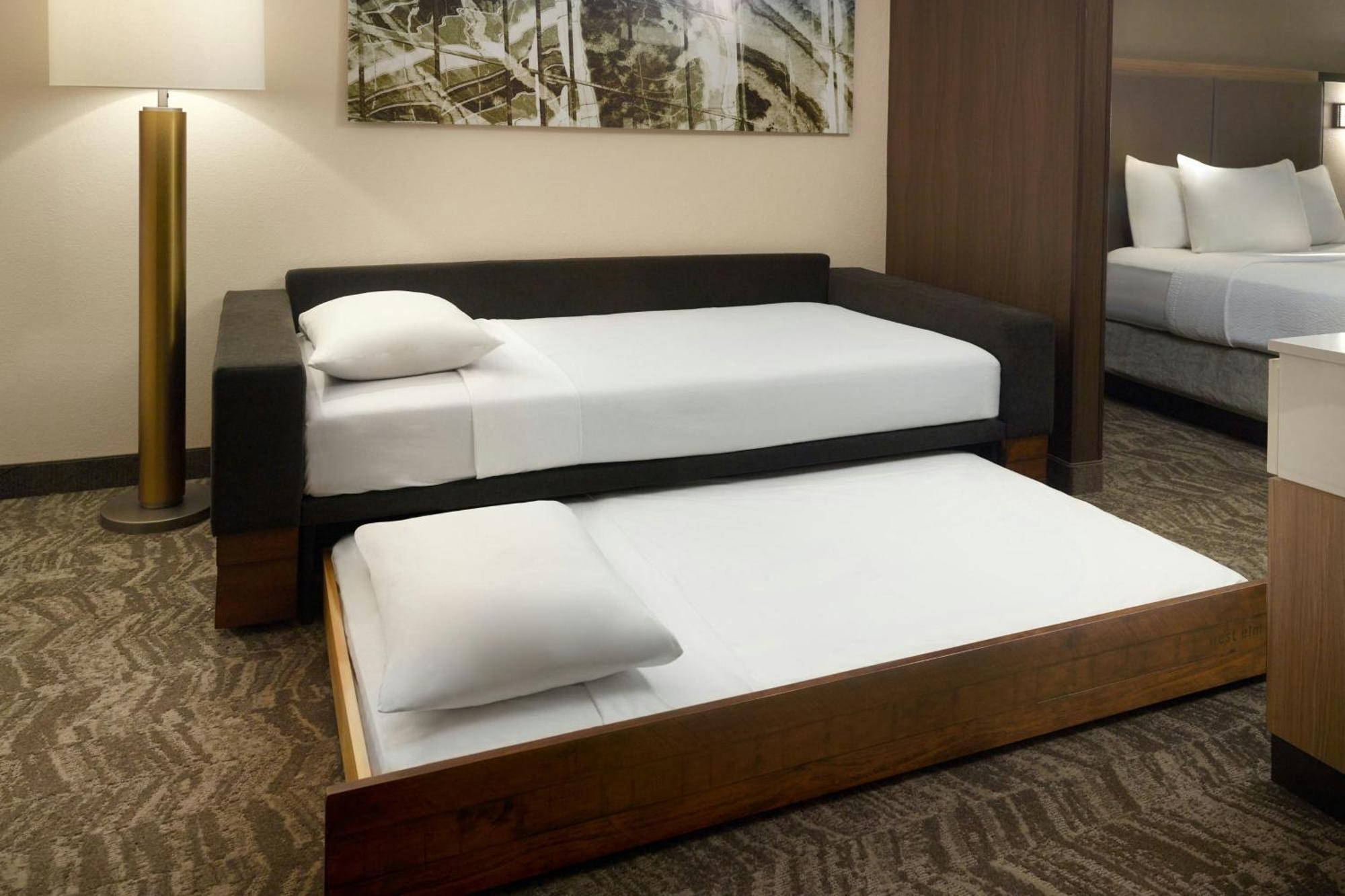 Springhill Suites By Marriott Atlanta Six Flags Lithia Springs Exterior photo